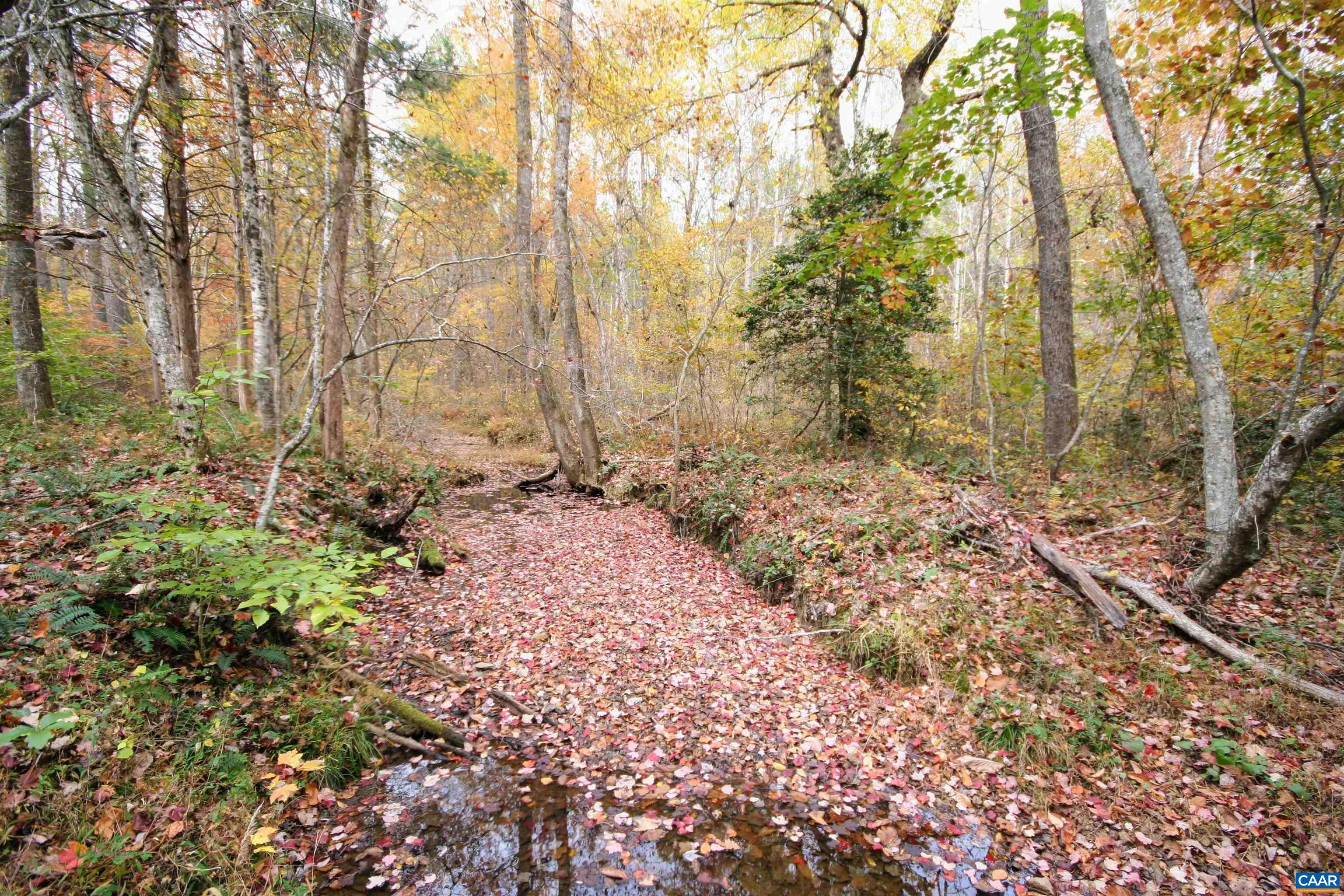 Tba Ridge Road Arvonia, VA 23004 - Photo 7 of 50 a view of a yard with large trees
