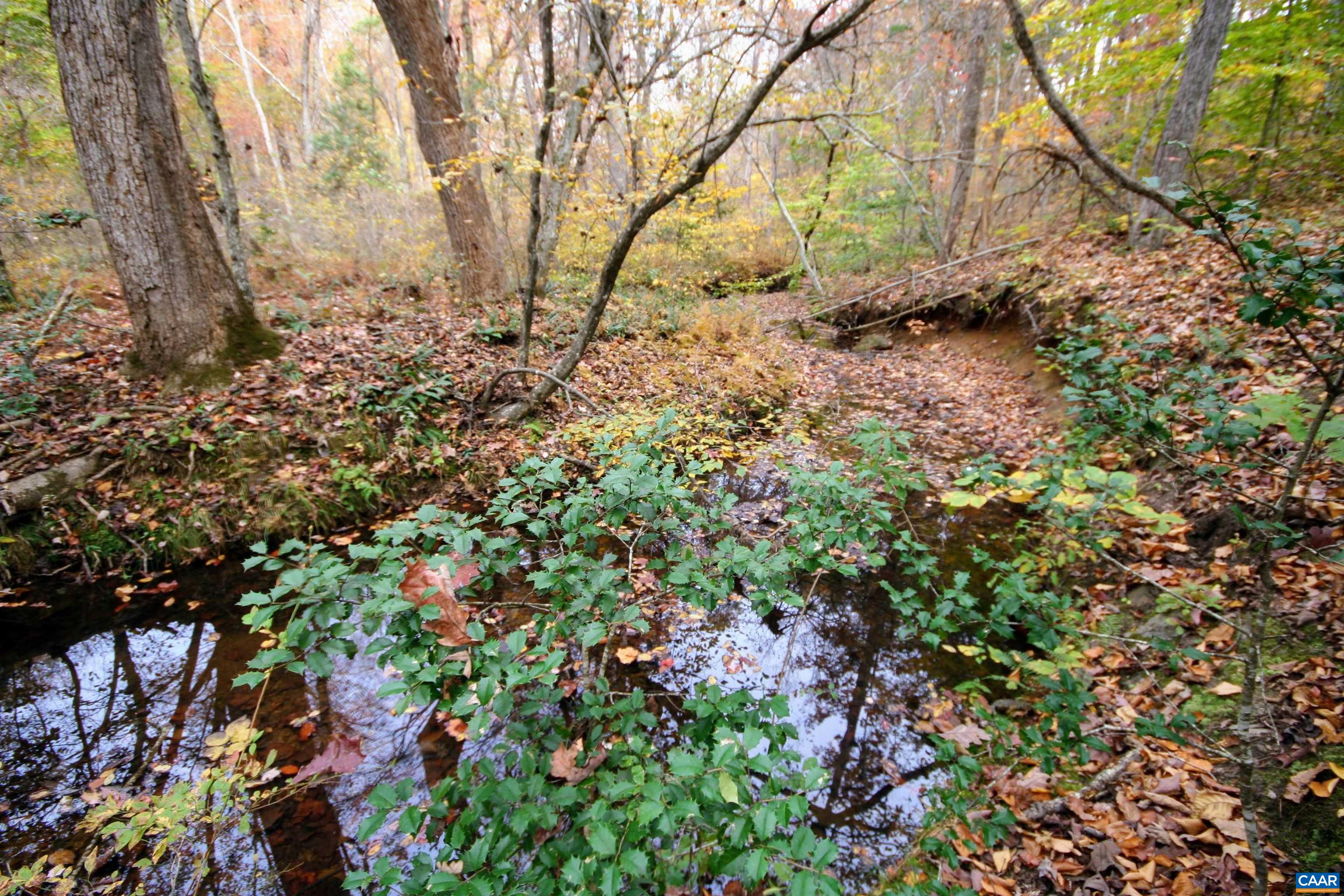 Tba Ridge Road Arvonia, VA 23004 - Photo 10 of 50 a backyard of a house with lots of green space