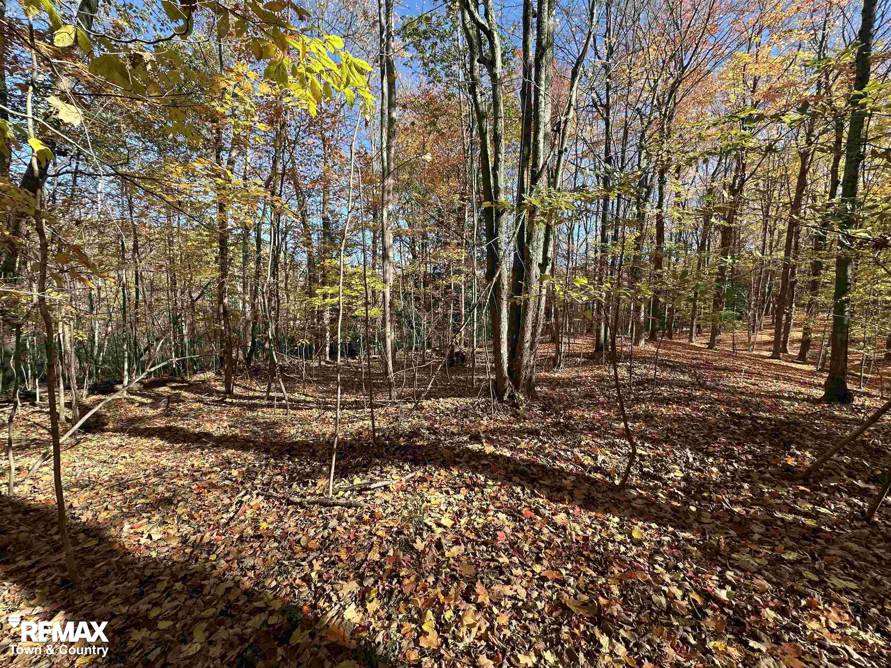 3077 Phelps Lake Road Mayville, MI 48744 - Photo 9 of 42 Gallery Image 9