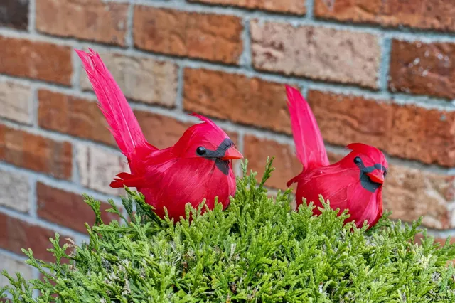 a aerial view of a house with garden and a sitting area