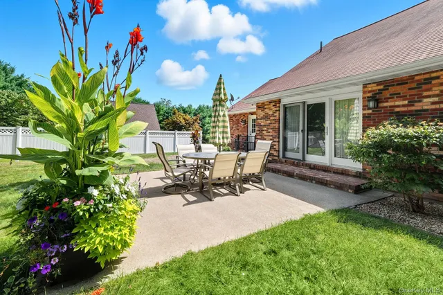 a view of a backyard with plants and large trees