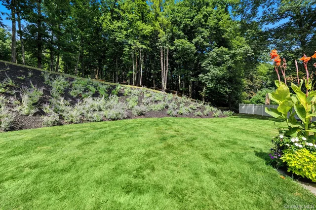a view of a garden with an outdoor space