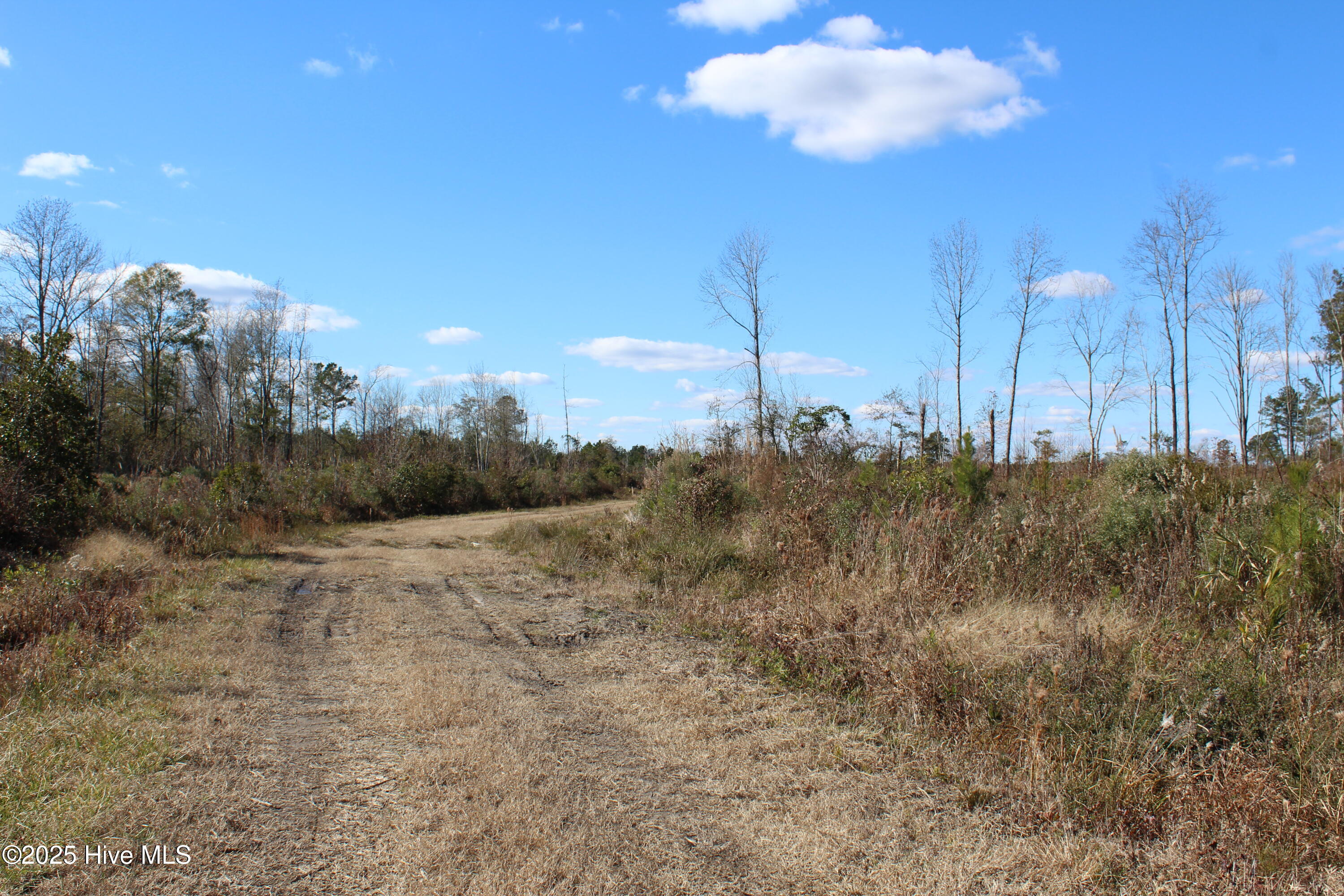 Lot 1 Richlands Road Trenton, NC 28585 - Photo 2 of 3 IMG_5300