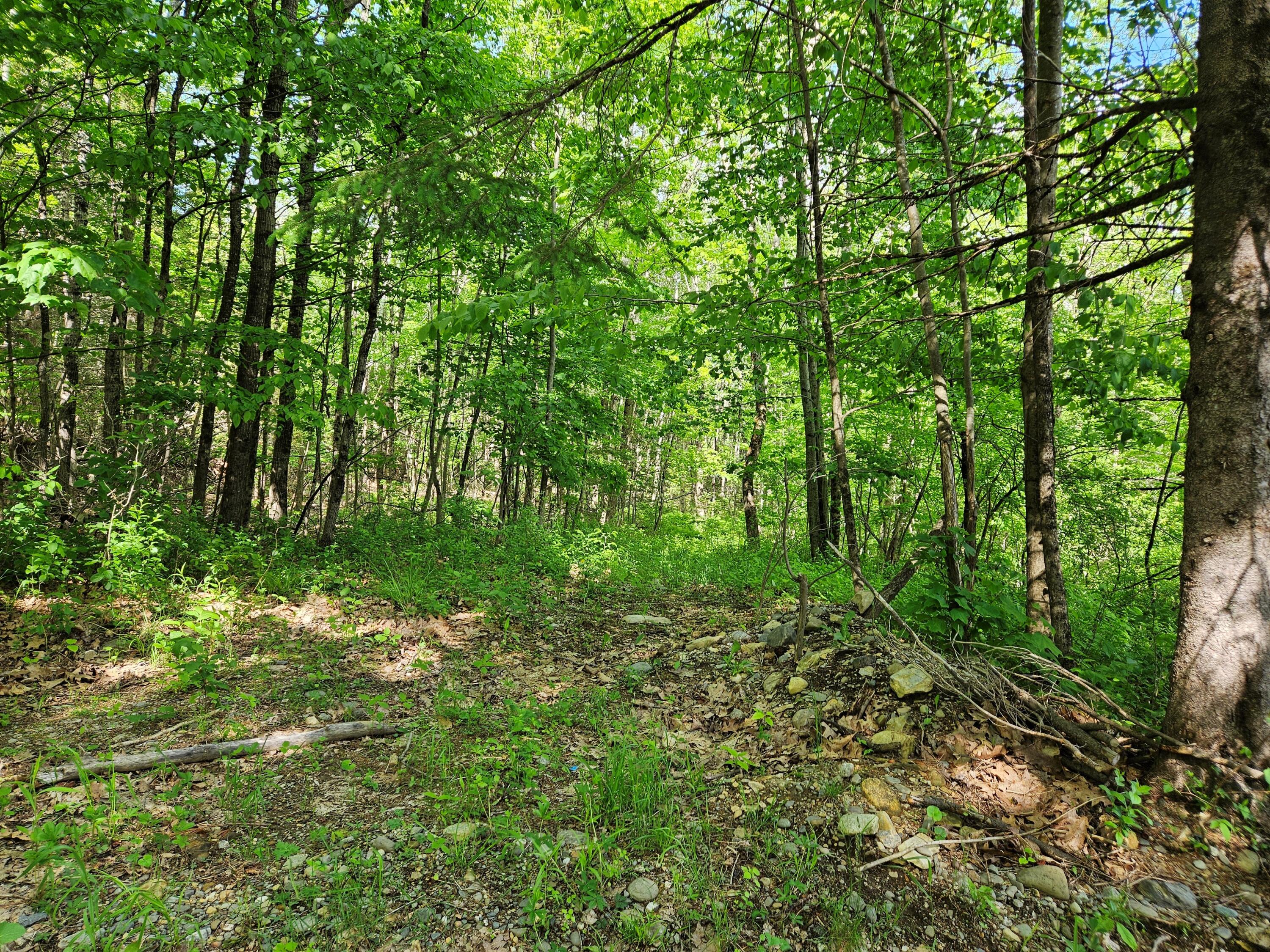 76 Clark Road Winterport, ME 04496 - Photo 5 of 13 Clark 5