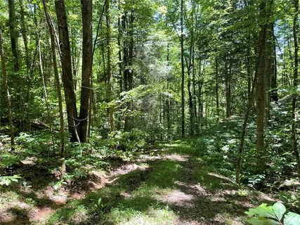 $189,000 | 0 Sapulpa Court, Ellijay, GA 30540
