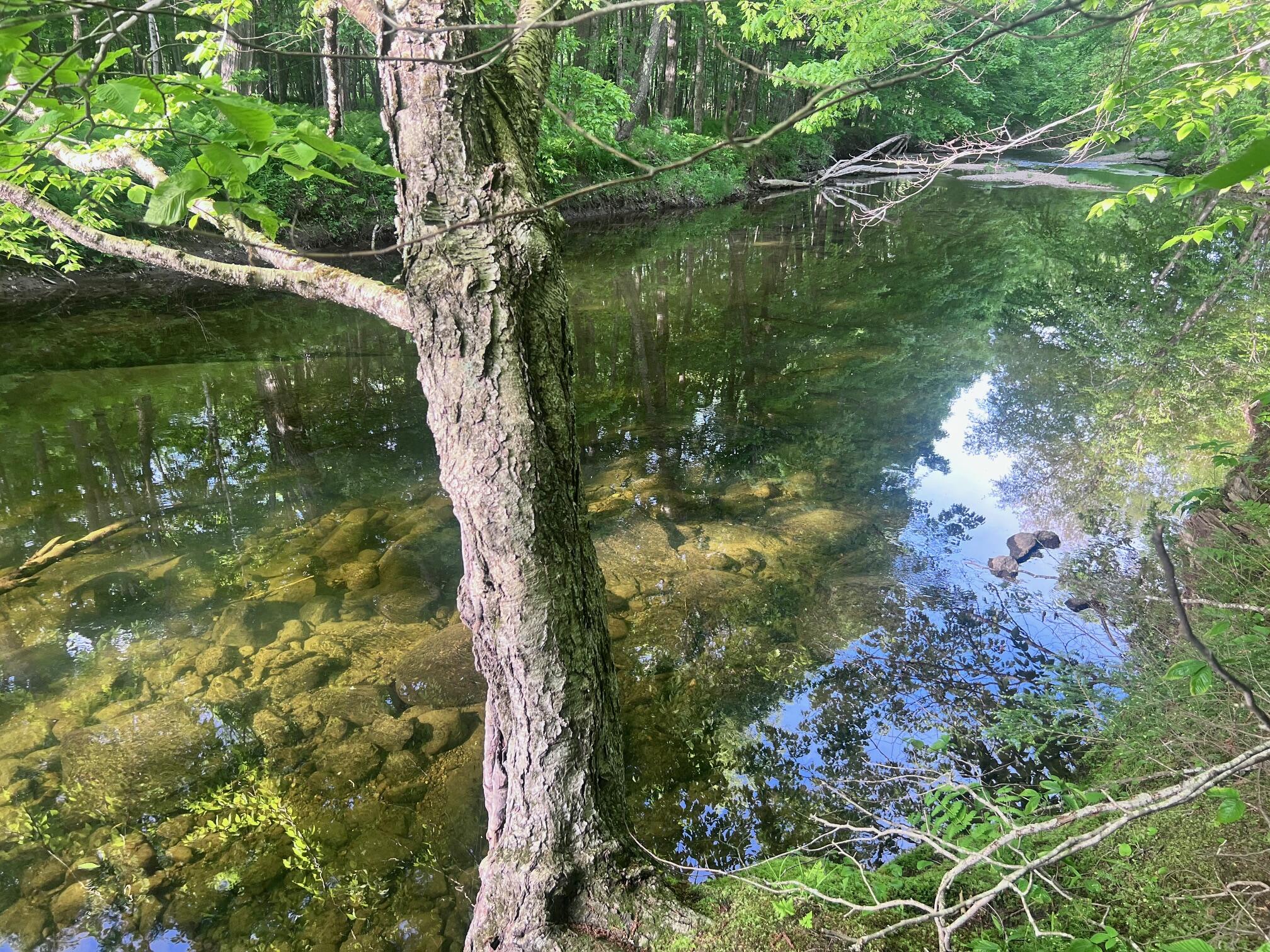 39 East Pond Road Oakland, ME 04963 - Photo 5 of 15 IMG_6963