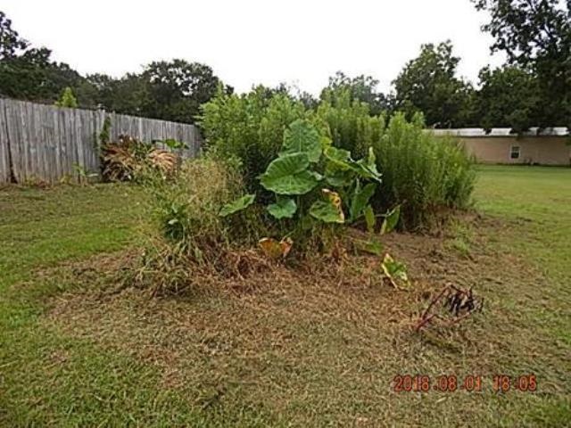 31353 Shambo Road Daphne, AL 36527 - Photo 18 of 18 Back Yard too