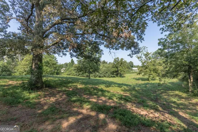 a view of outdoor space and yard