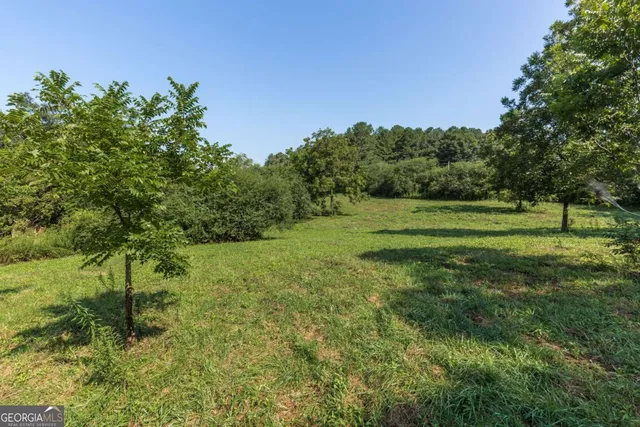 a view of a grassy field with trees