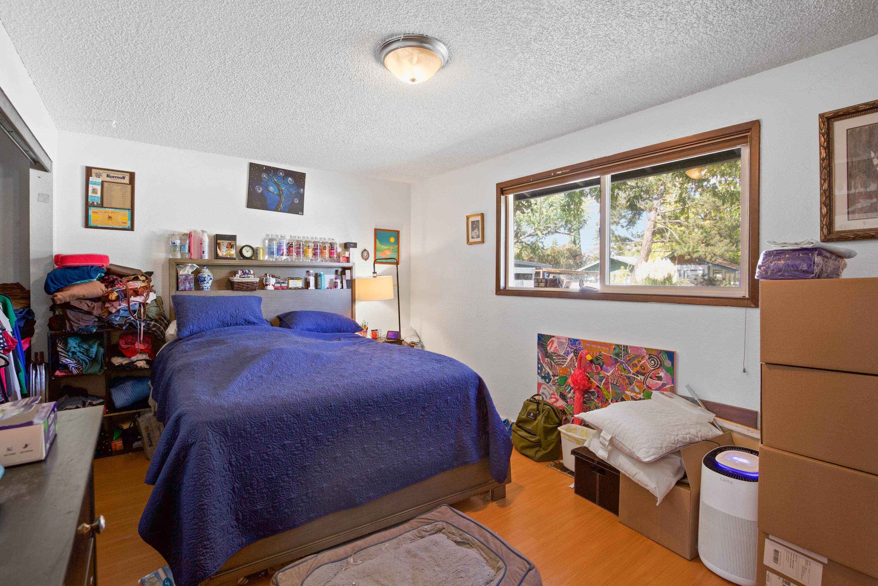 990 Janes Road Medford, OR 97501 - Photo 17 of 28 CU9A3807