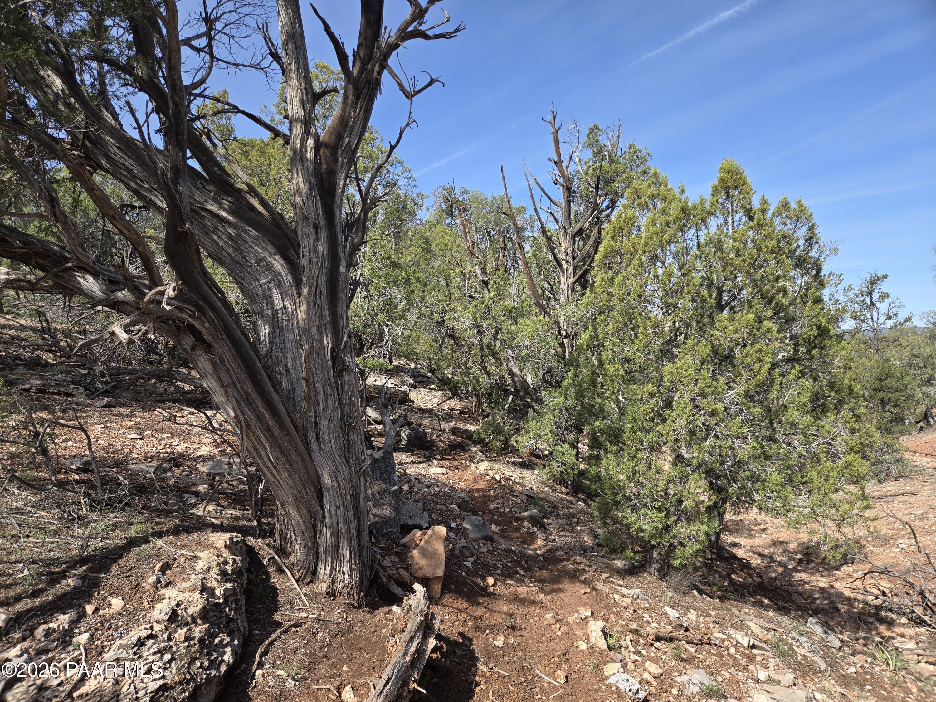 390 Haywire Road Ash Fork, AZ 86320 - Photo 13 of 15 20260315_110039