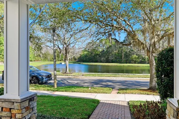 a view of a backyard with large trees and plants