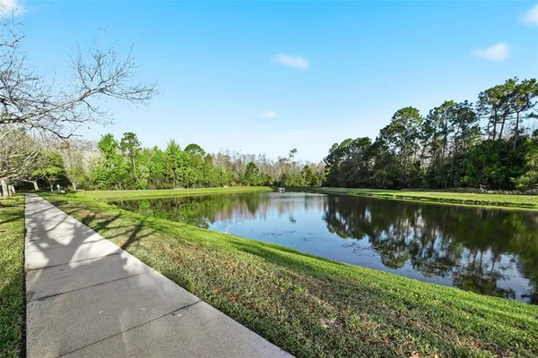 a view of a lake with a yard and large trees