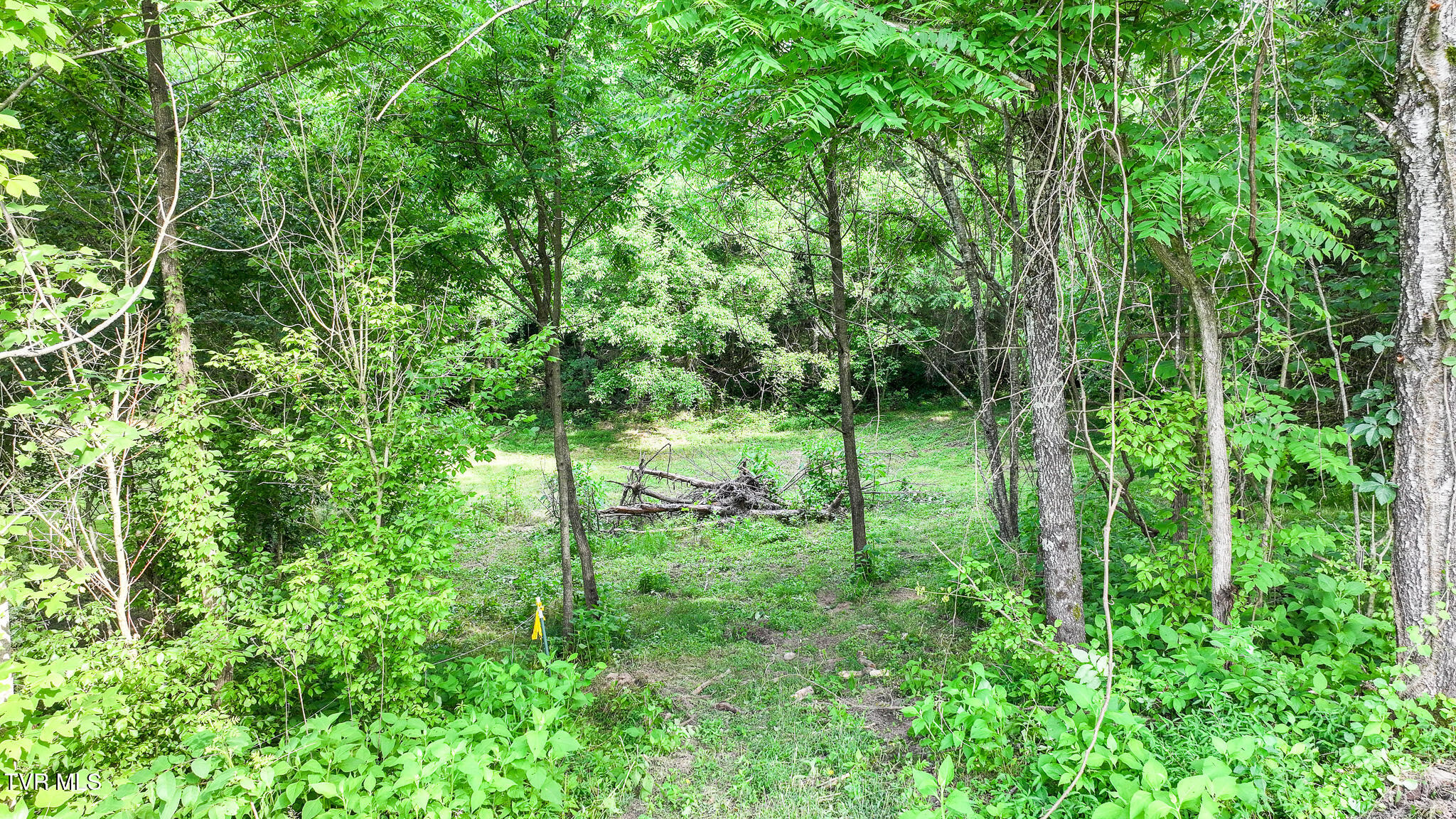 Tbd Middle Creek Road, Unit 21 Afton, TN 37616 - Photo 8 of 16 DJI_20260603024925_0568_D