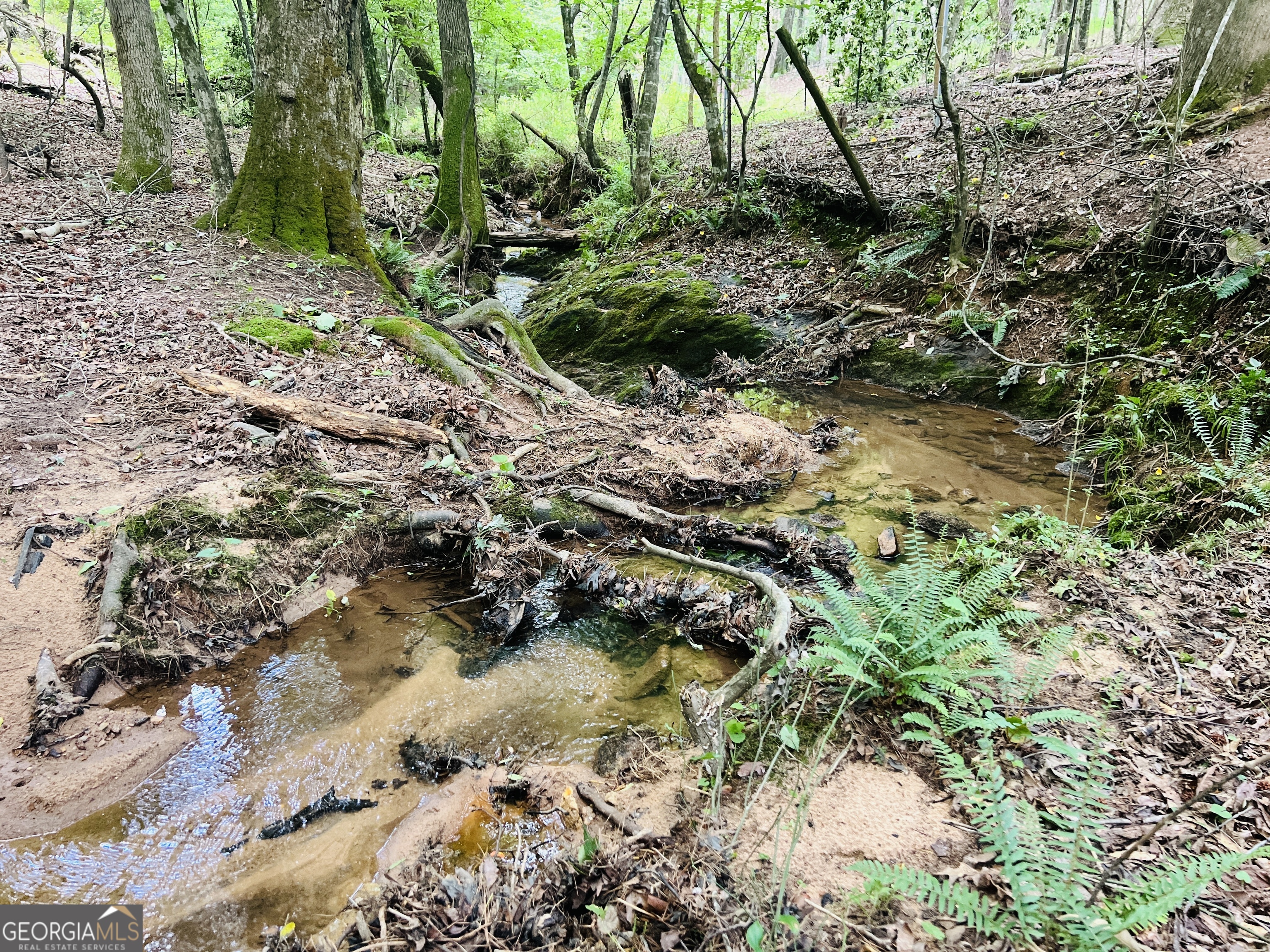 0 Moriah Church Road, Unit 16 01 ACRES Colbert, GA 30628 - Photo 1 of 1 a view of a lake with lots of trees