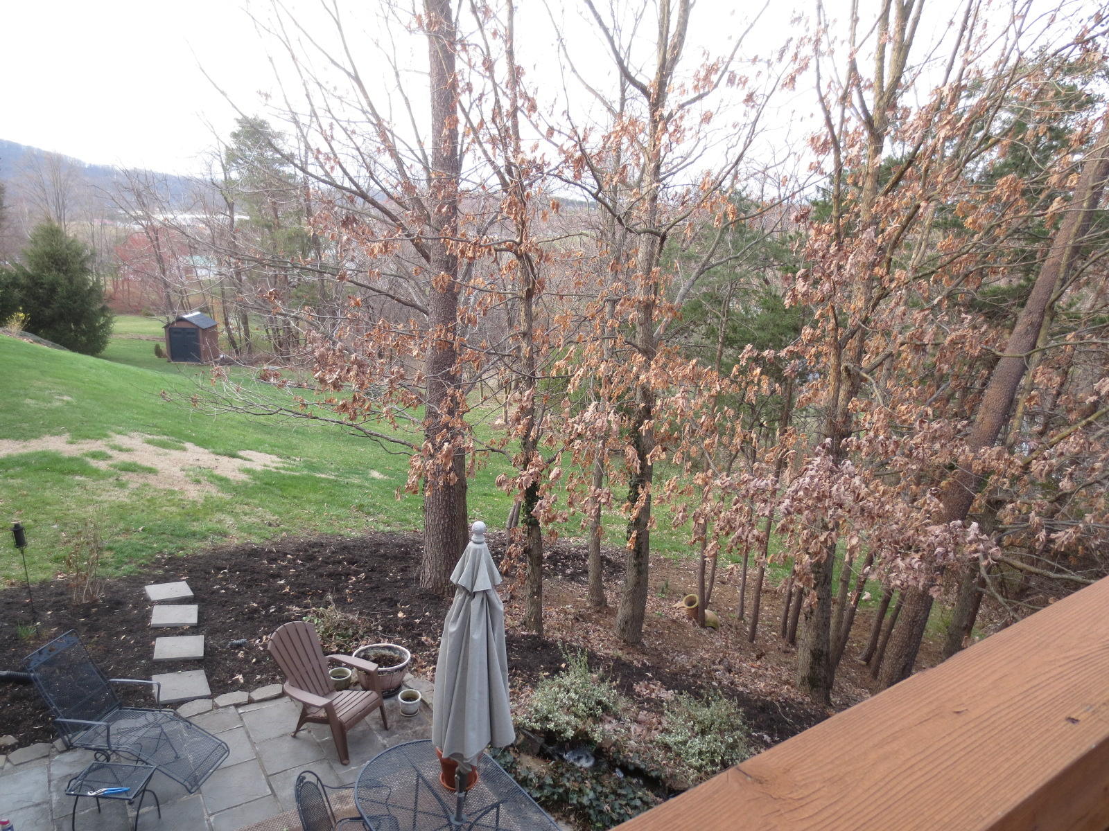 5480 Setter Road Roanoke, VA 24012 - Photo 2 of 20 backyard.JPG