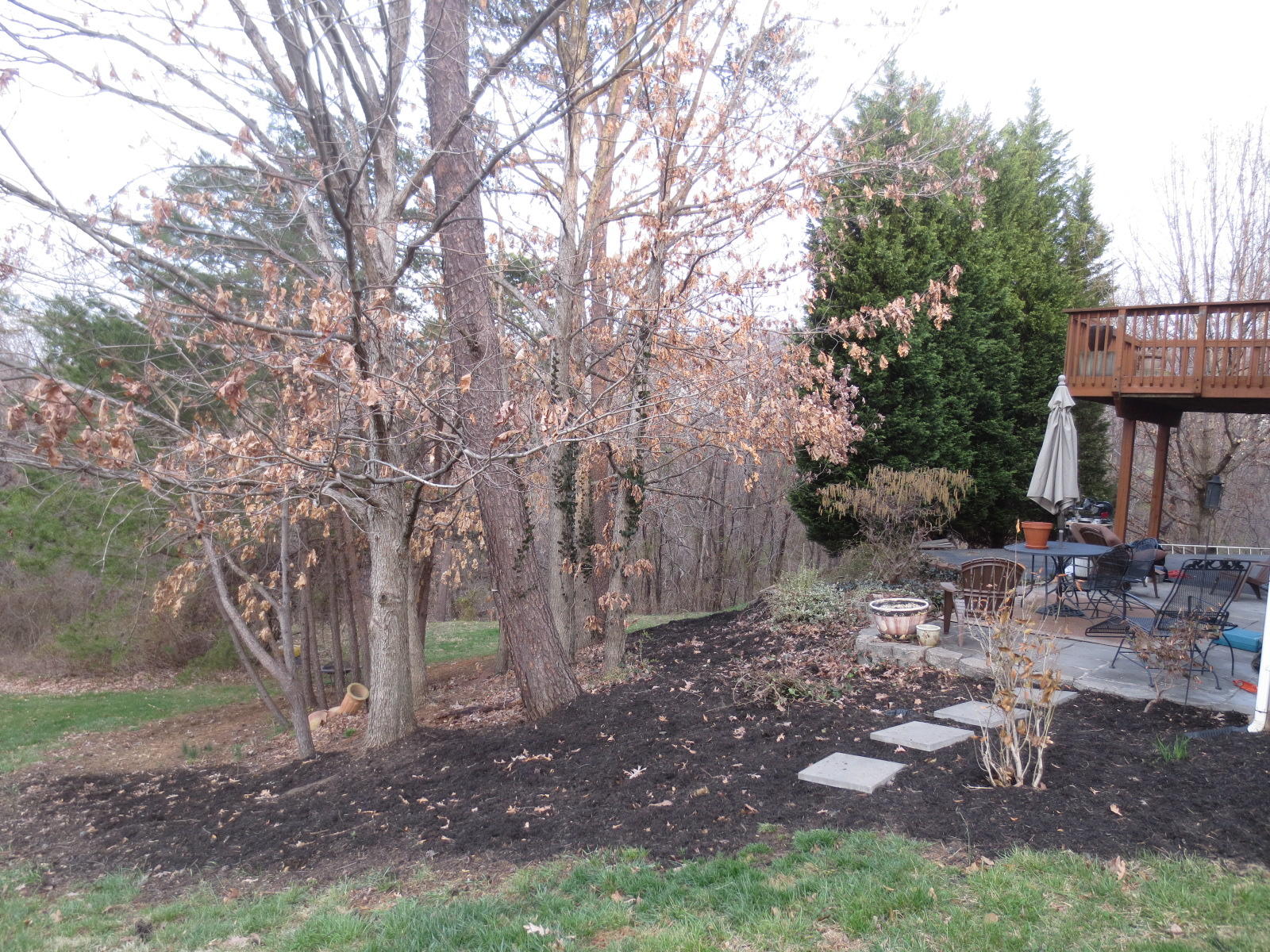 5480 Setter Road Roanoke, VA 24012 - Photo 19 of 20 yard.JPG