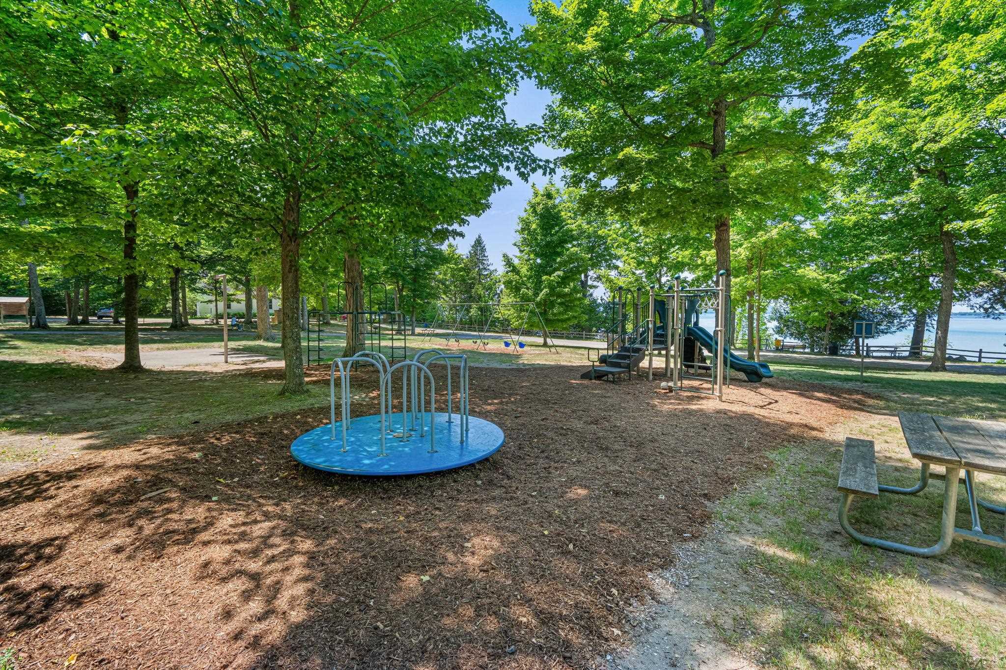 8867 South Dunns Farm Road Maple City, MI 49664 - Photo 62 of 72