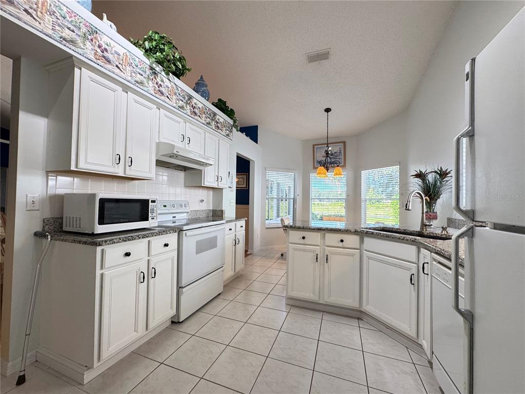 4755 Tara View Road Leesburg, FL 34748 - Photo 32 of 100