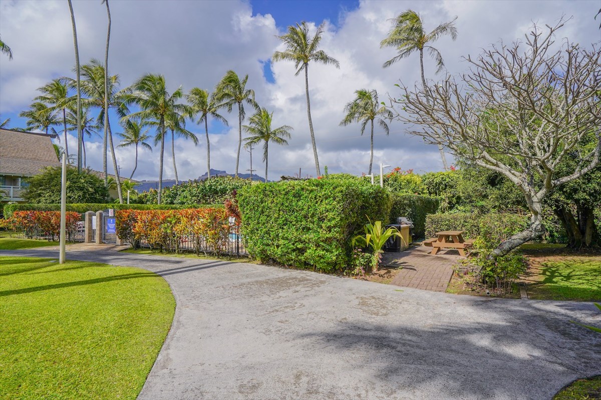 5-25 Aleka Loop, Unit J6 Kapaa, HI 96746 - Photo 15 of 17 a view of a backyard