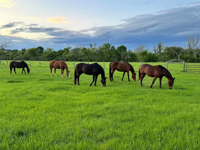 $589,000 | 2100 Peach Ridge Road, Brookshire, TX 77423