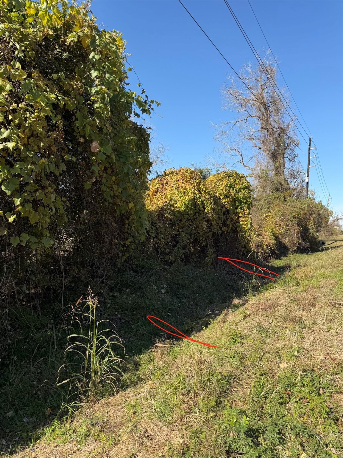 2100 Peach Ridge Road Brookshire, TX 77423 - Photo 5 of 5