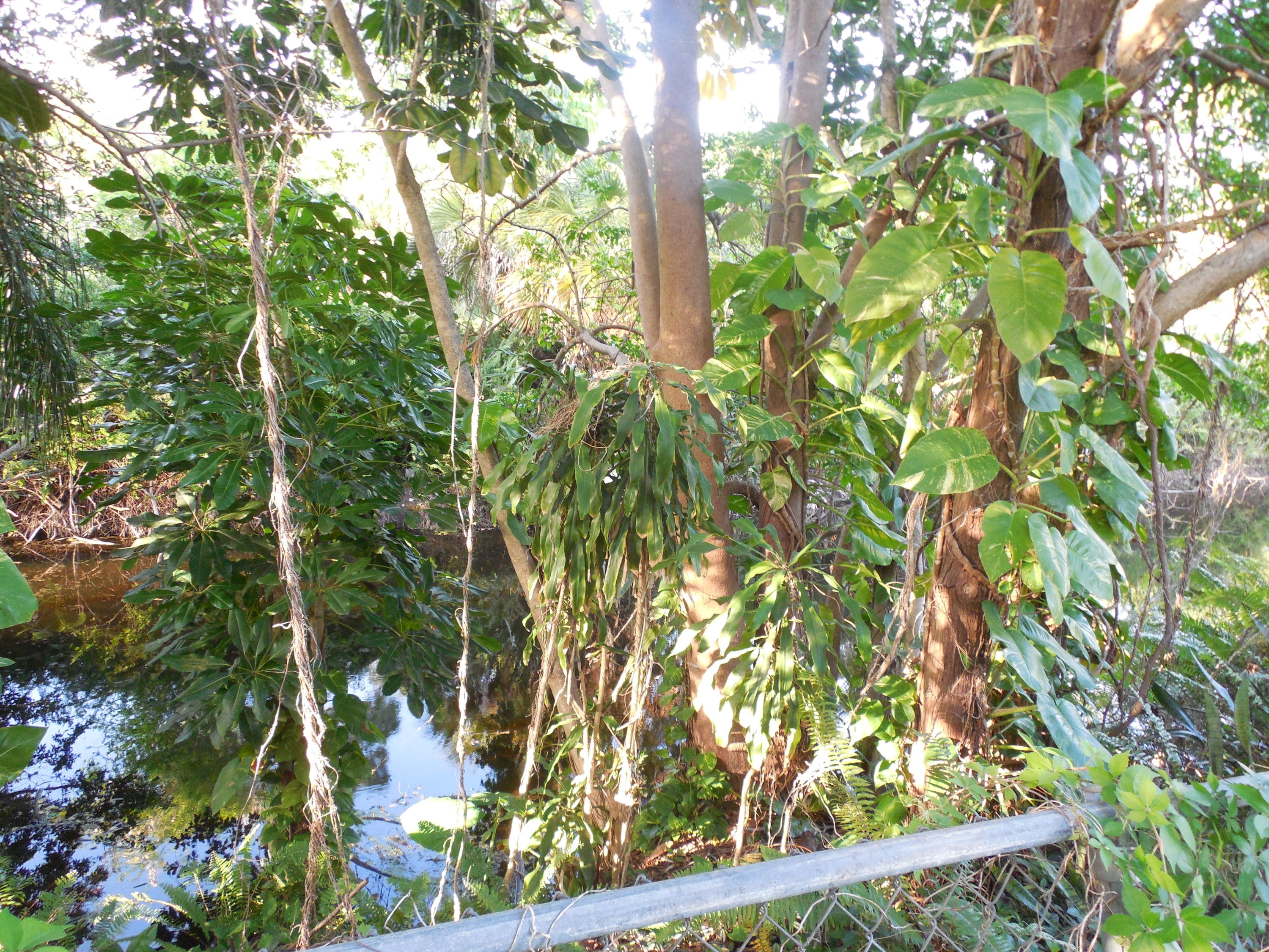 3329 Grove Road Palm Beach Gardens, FL 33410 - Photo 19 of 28 DSCN0583