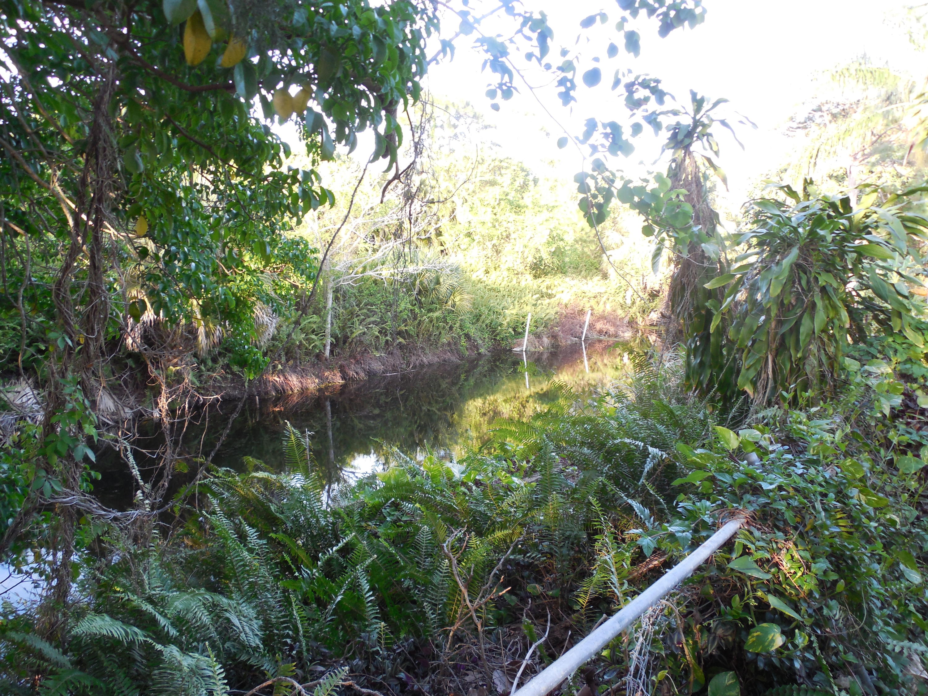 3329 Grove Road Palm Beach Gardens, FL 33410 - Photo 20 of 28 Canal right behind the house