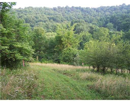 663 Dillie Road Prosperity, PA 15329 - Photo 15 of 17 View.