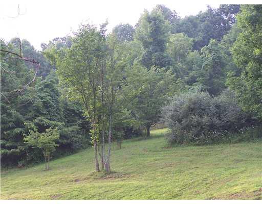 663 Dillie Road Prosperity, PA 15329 - Photo 3 of 17 Land.
