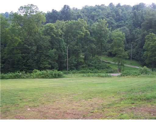 663 Dillie Road Prosperity, PA 15329 - Photo 4 of 17 Land.