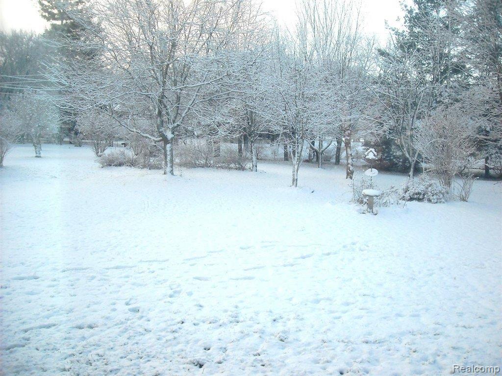 8756 33 Mile Road Romeo, MI 48065 - Photo 2 of 11 Yard Winter.JPG