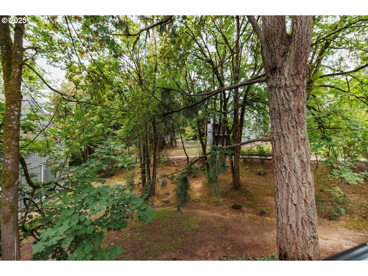 100 Kerr Parkway, Unit 34 Lake Oswego, OR 97035 - Photo 17 of 35 a backyard of a house with lots of green space
