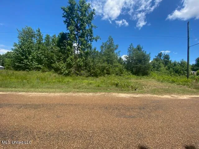 $90,000 | 10 Acres Burton, Senatobia, MS 38668