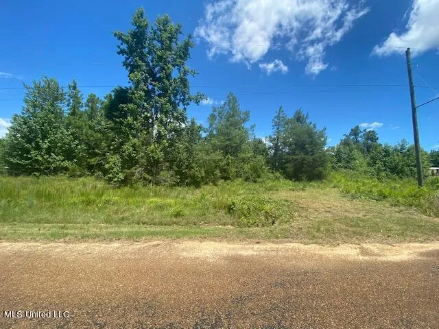 $90,000 | 10 Acres Burton, Senatobia, MS 38668