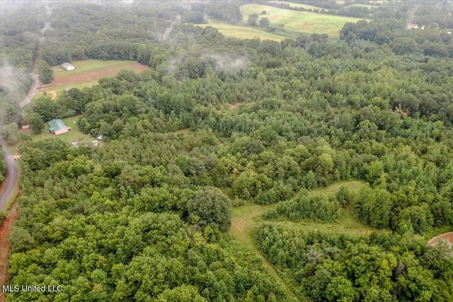 $90,000 | 10 Acres Burton, Senatobia, MS 38668