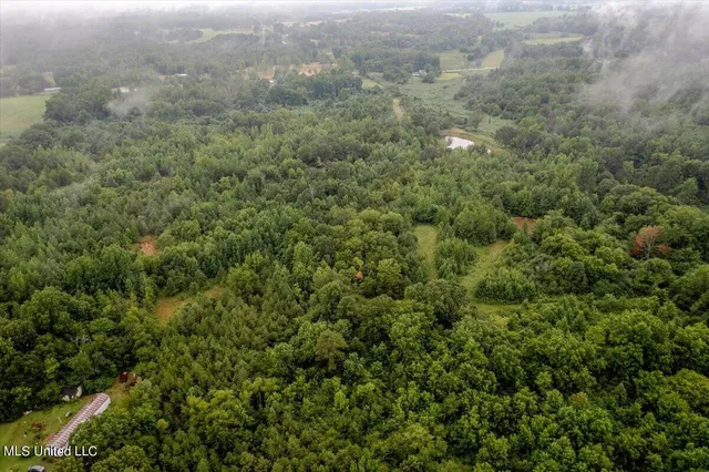 $90,000 | 10 Acres Burton, Senatobia, MS 38668