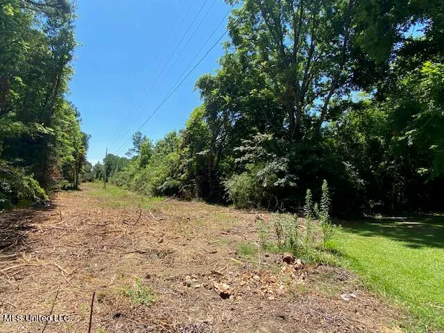 $90,000 | 10 Acres Burton, Senatobia, MS 38668