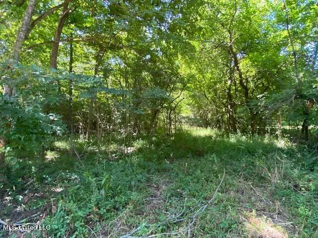 $90,000 | 10 Acres Burton, Senatobia, MS 38668