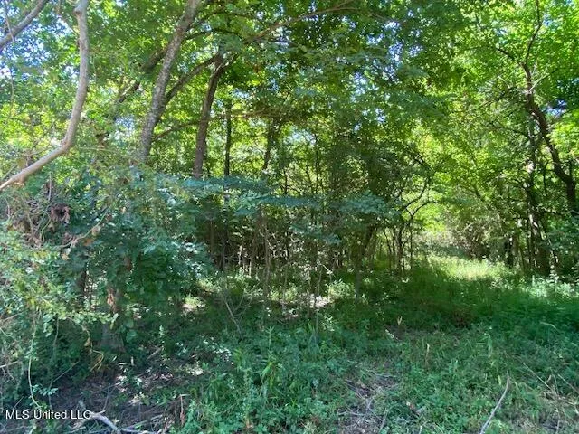 $90,000 | 10 Acres Burton, Senatobia, MS 38668