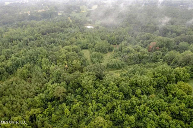 $90,000 | 10 Acres Burton, Senatobia, MS 38668