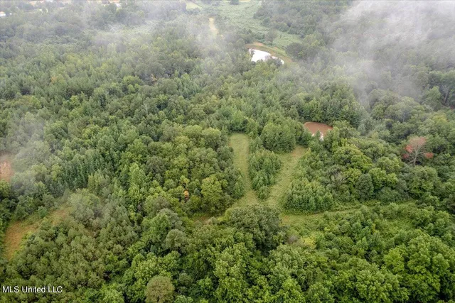 $90,000 | 10 Acres Burton, Senatobia, MS 38668