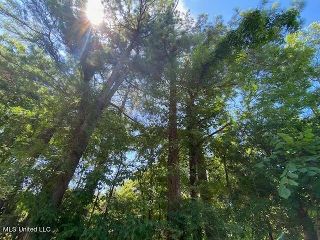 $90,000 | 10 Acres Burton, Senatobia, MS 38668