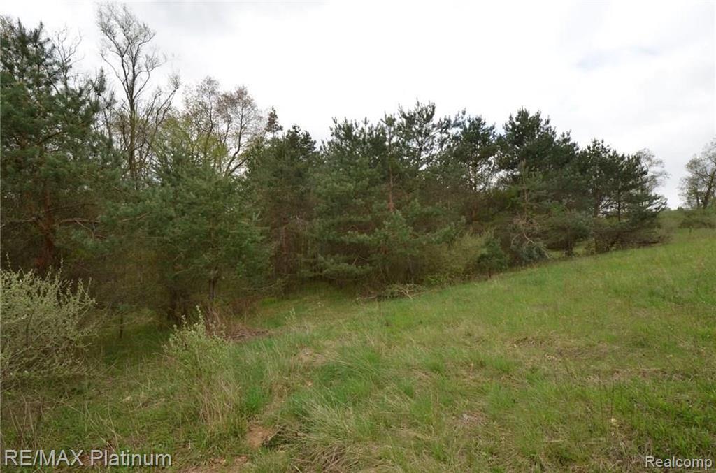 Parcel A Silverbell Road Rochester, MI 48306 - Photo 10 of 31