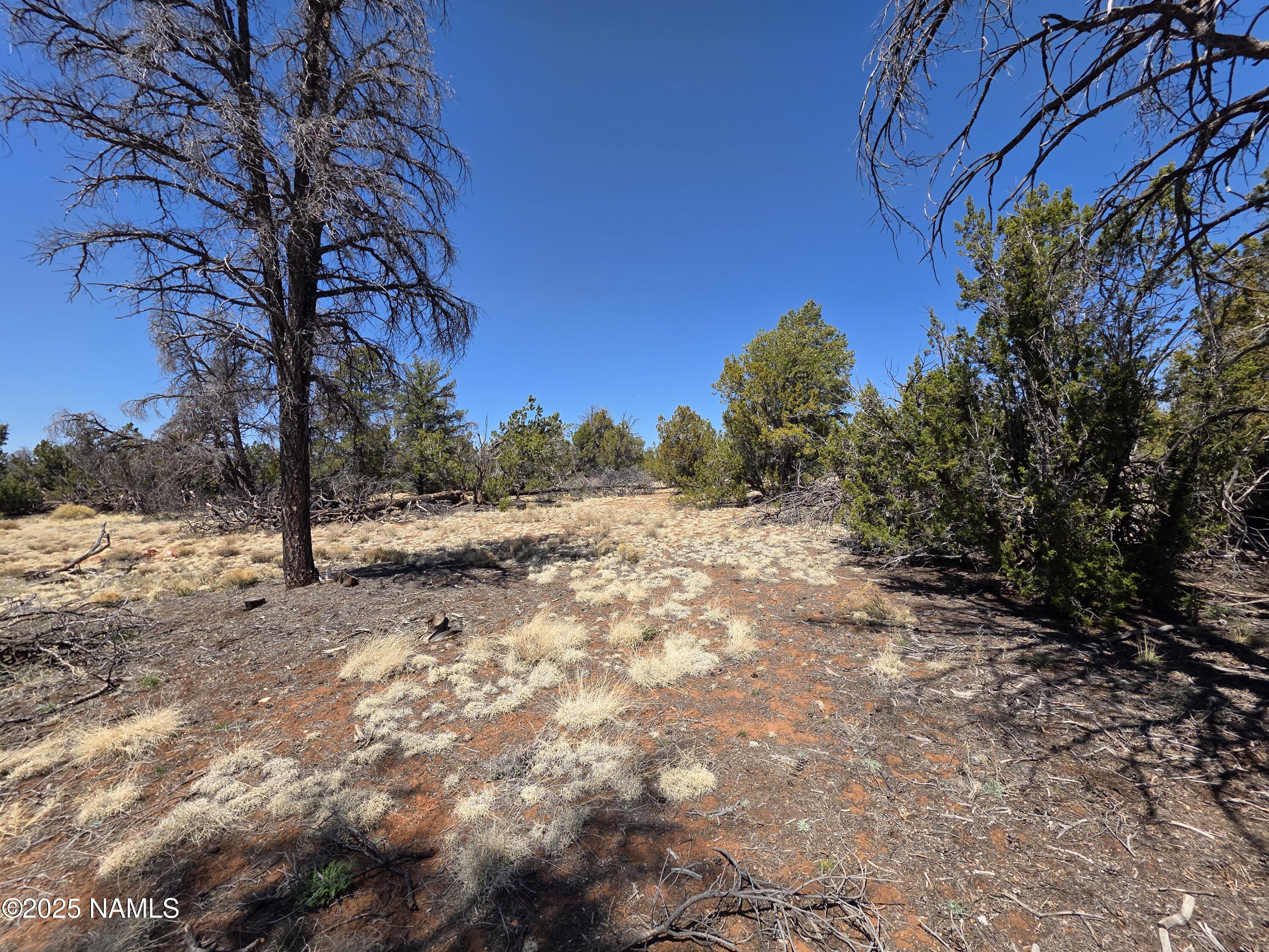 Parcel Parcel 50227043a- Bull Run Road Williams, AZ 86046 - Photo 12 of 19 1000046450