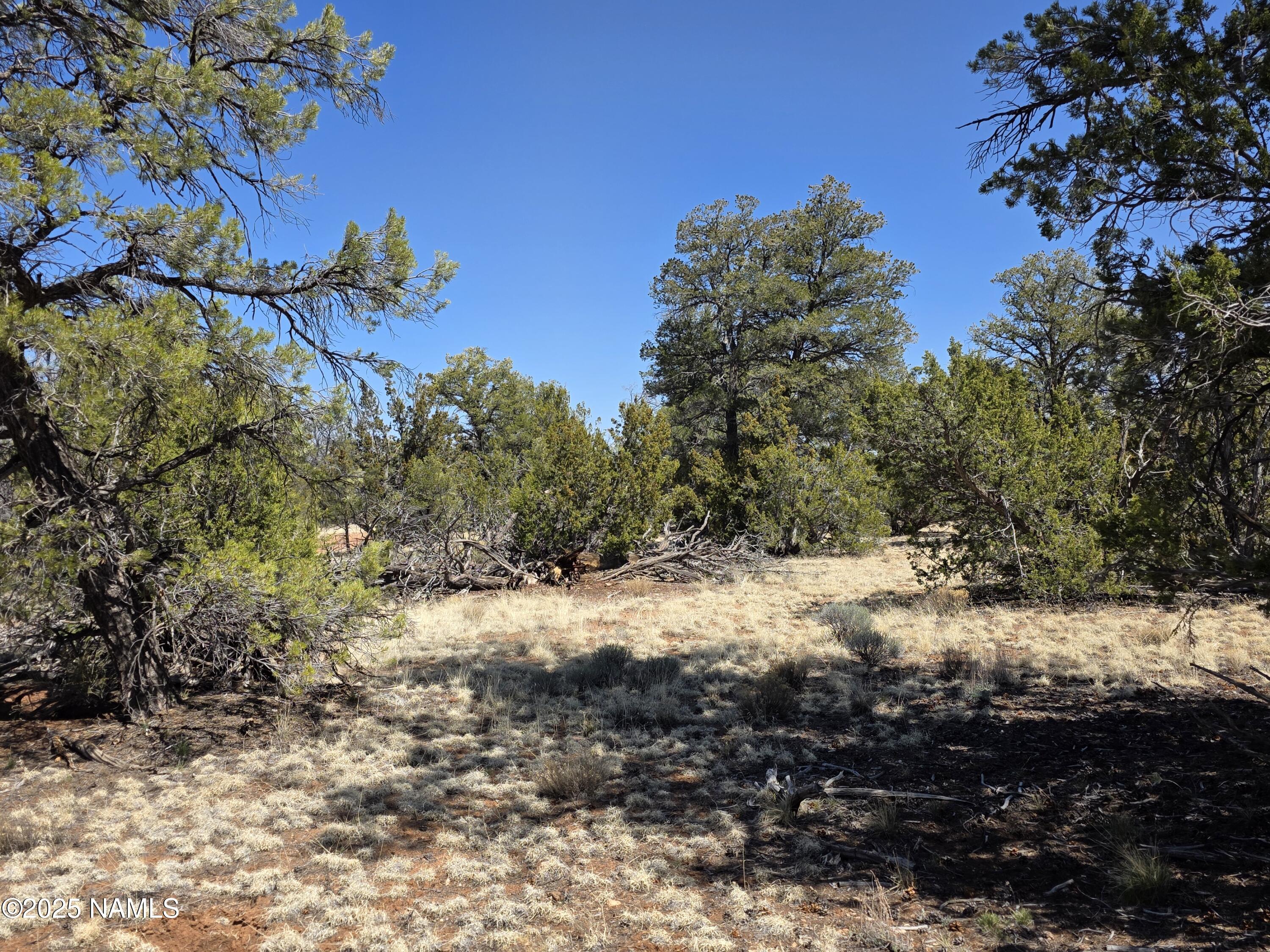 Parcel Parcel 50227043a- Bull Run Road Williams, AZ 86046 - Photo 19 of 19 1000046464