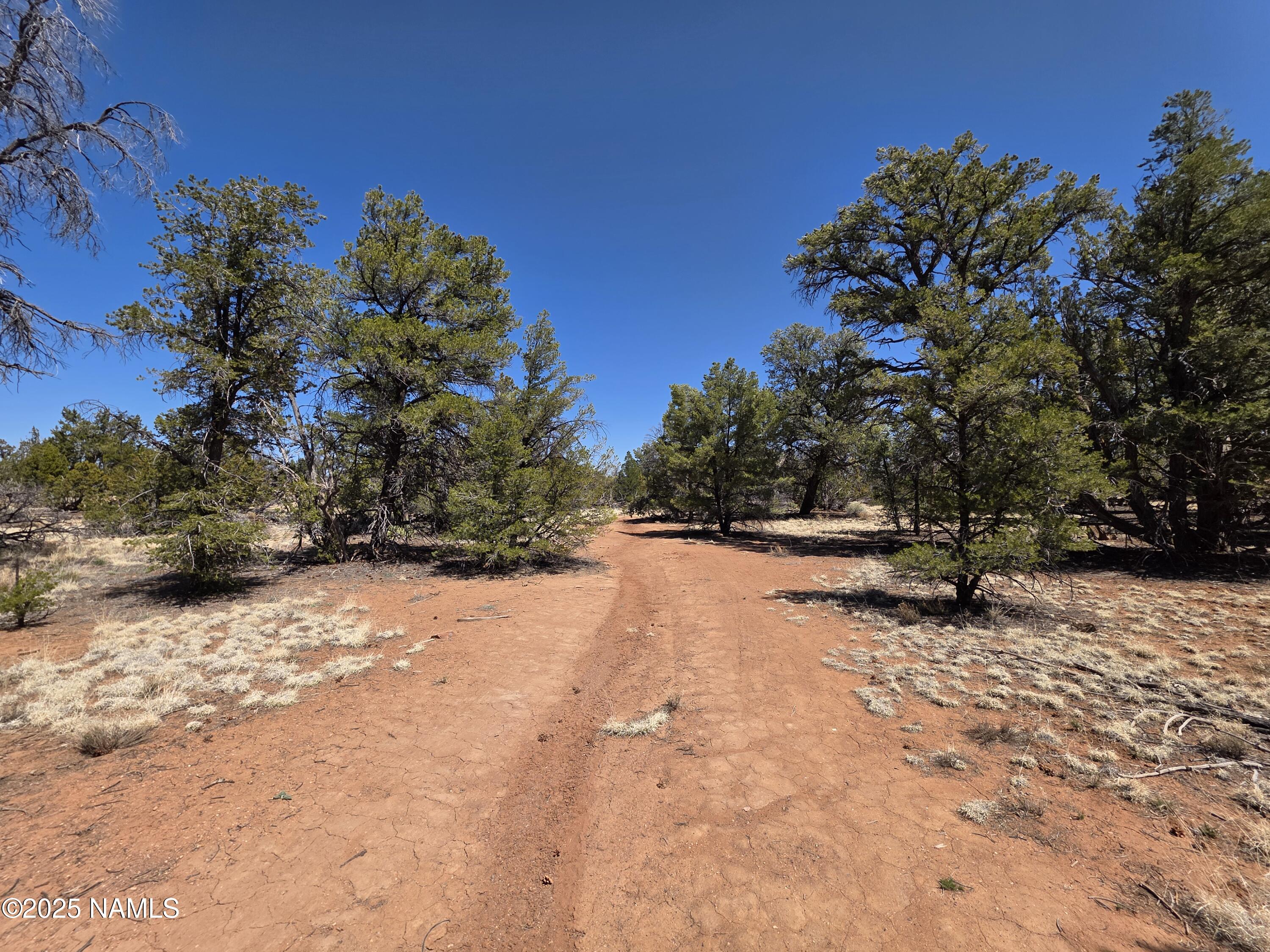 Parcel Parcel 50227043a- Bull Run Road Williams, AZ 86046 - Photo 4 of 19 1000046446