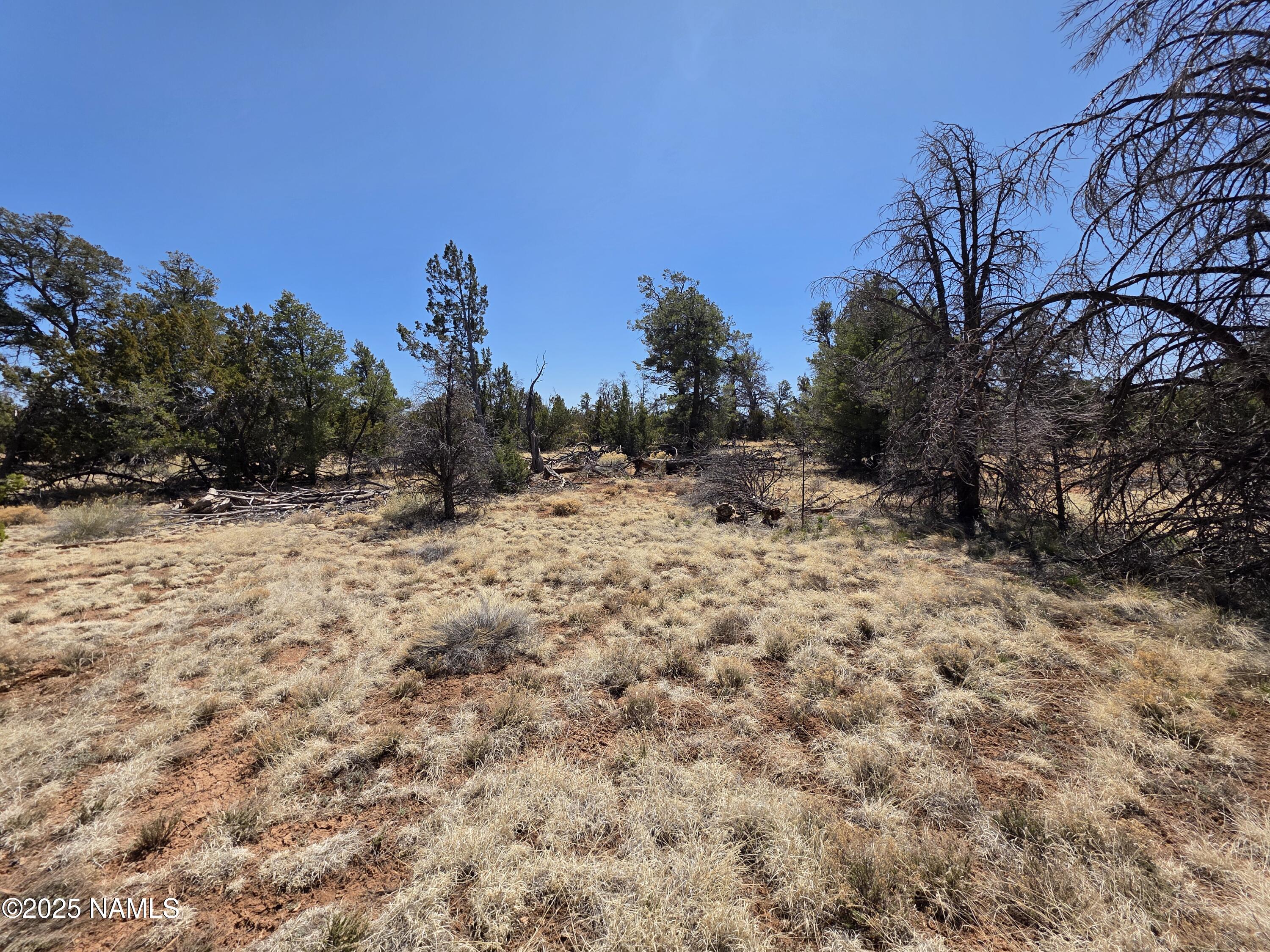 Parcel Parcel 50227043a- Bull Run Road Williams, AZ 86046 - Photo 8 of 19 1000046447