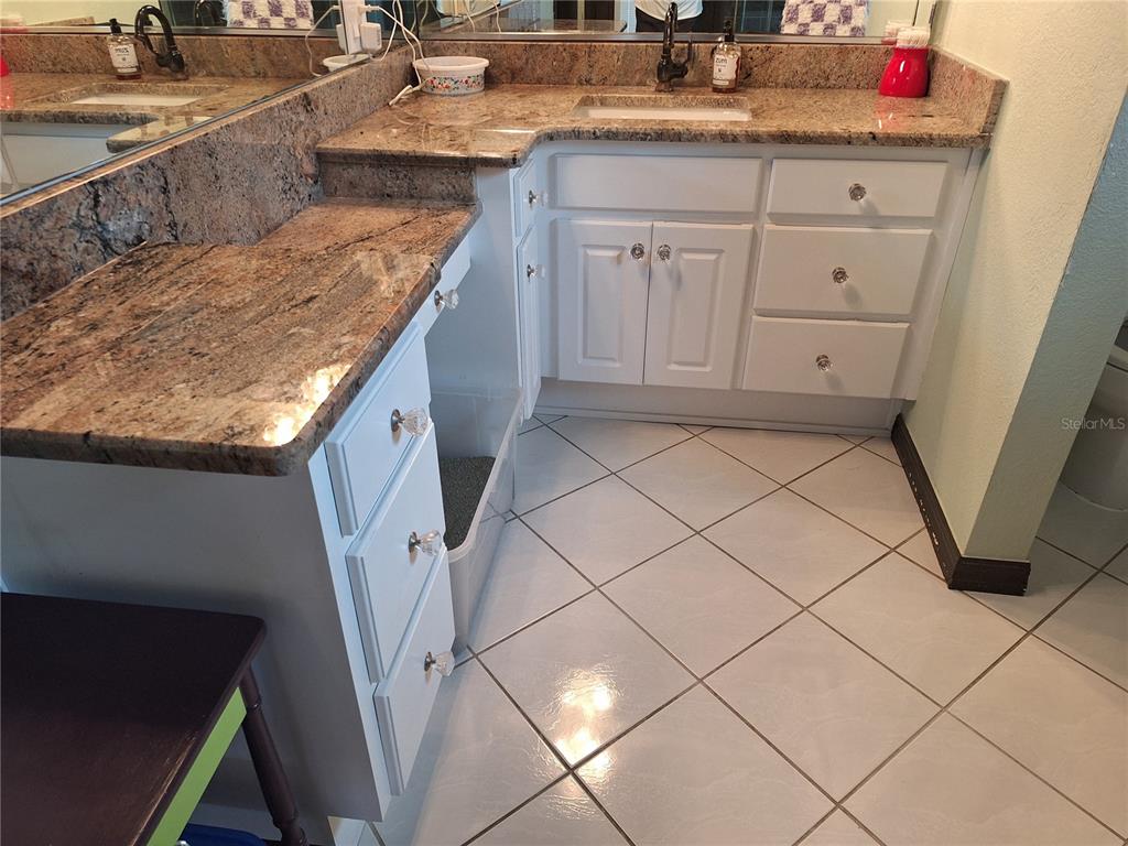 9415 Indale Drive New Port Richey, FL 34654 - Photo 36 of 93 a bathroom with a granite countertop sink and a mirror