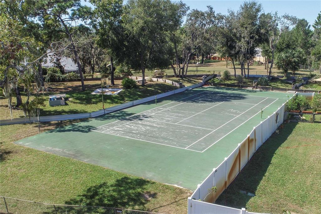 9415 Indale Drive New Port Richey, FL 34654 - Photo 5 of 93 a view of a tennis ground with large trees